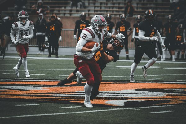 Wie kann ich Arthritis bei älteren Hunden frühzeitig erkennen und behandeln?