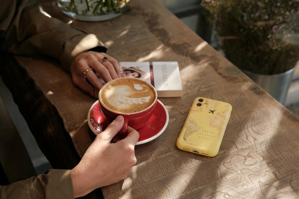 Welche ökologischen Dämmstoffe eignen sich für den Dachausbau in einem Altbau?